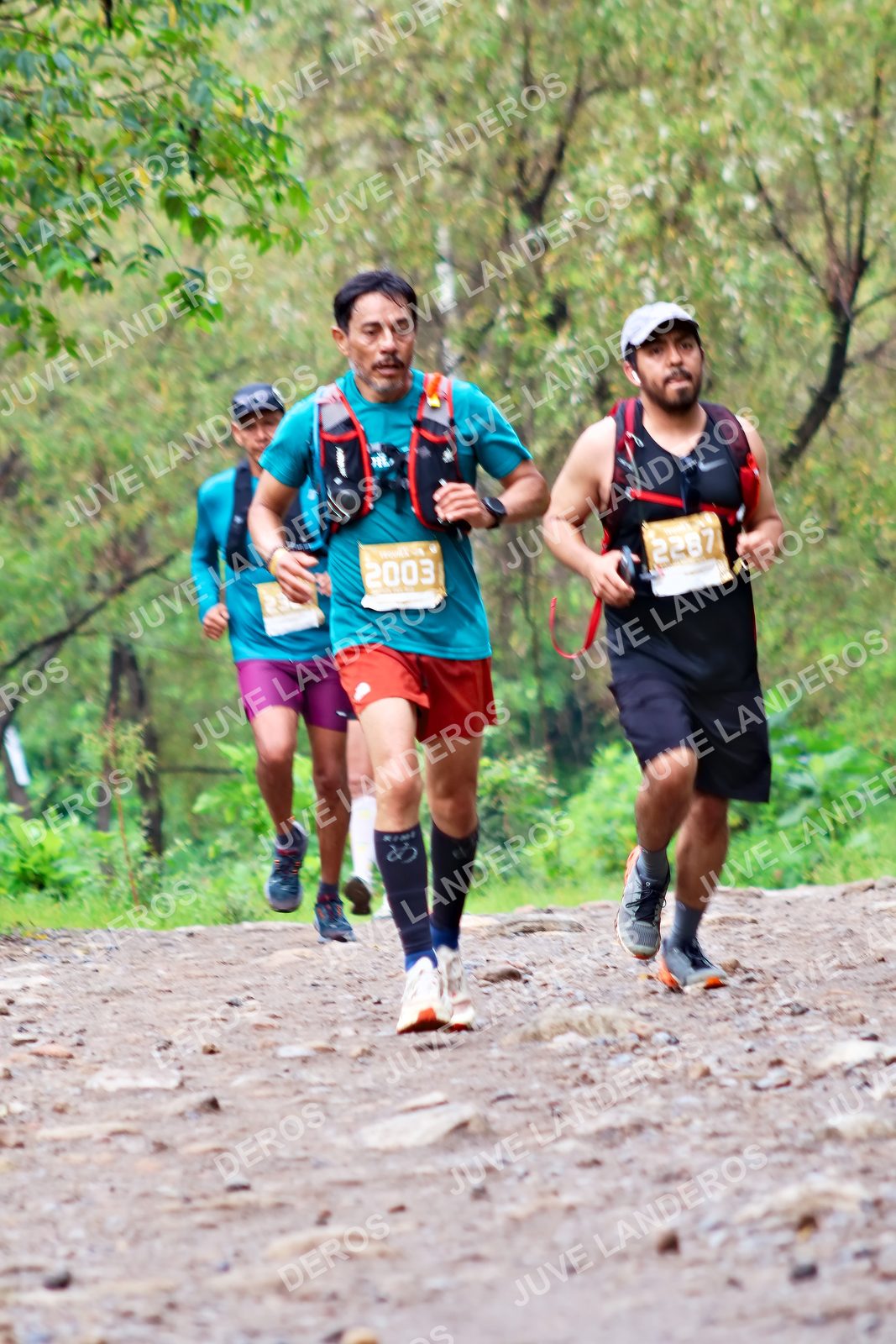 Foto del ULTRA TEQUILA 2026 en Tequila, Jalisco a las 08:42 · Ruta · dorsal 2003, 2287