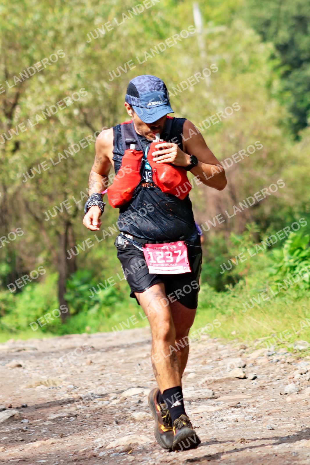 Foto del ULTRA TEQUILA 2026 en Tequila, Jalisco a las 09:17 · Ruta · dorsal 1237