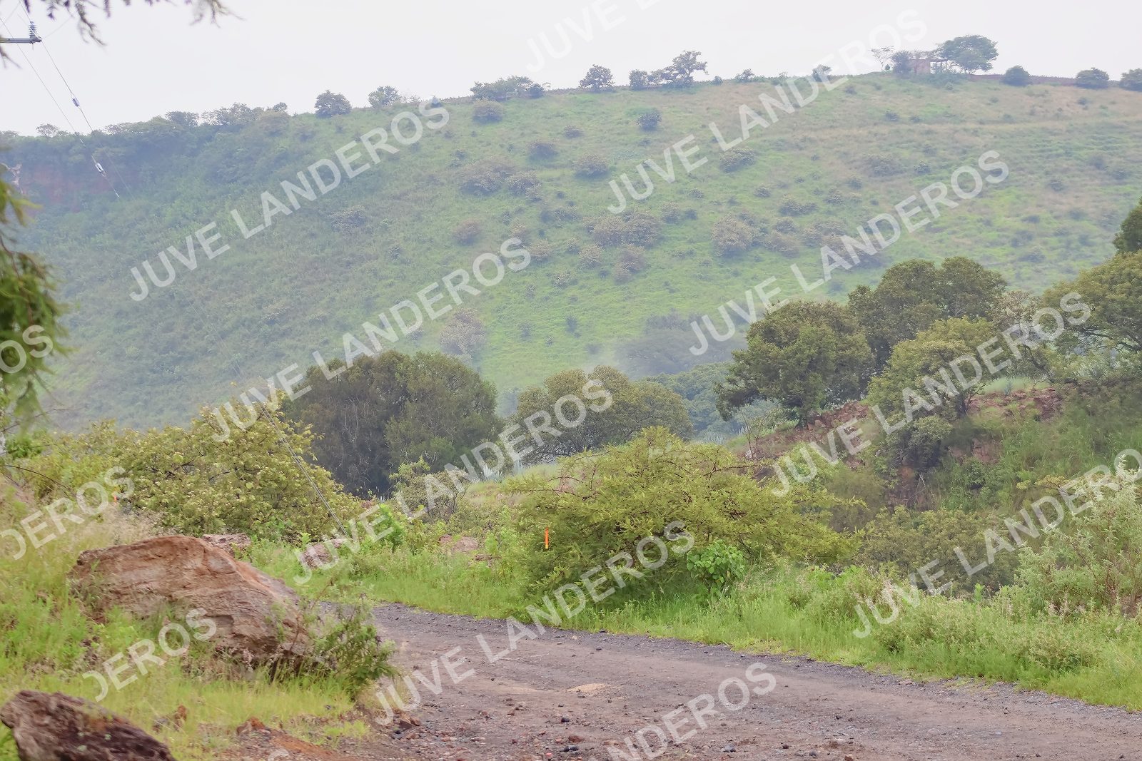 Foto del ULTRA TEQUILA 2026 en Tequila, Jalisco a las 07:42 · Ruta