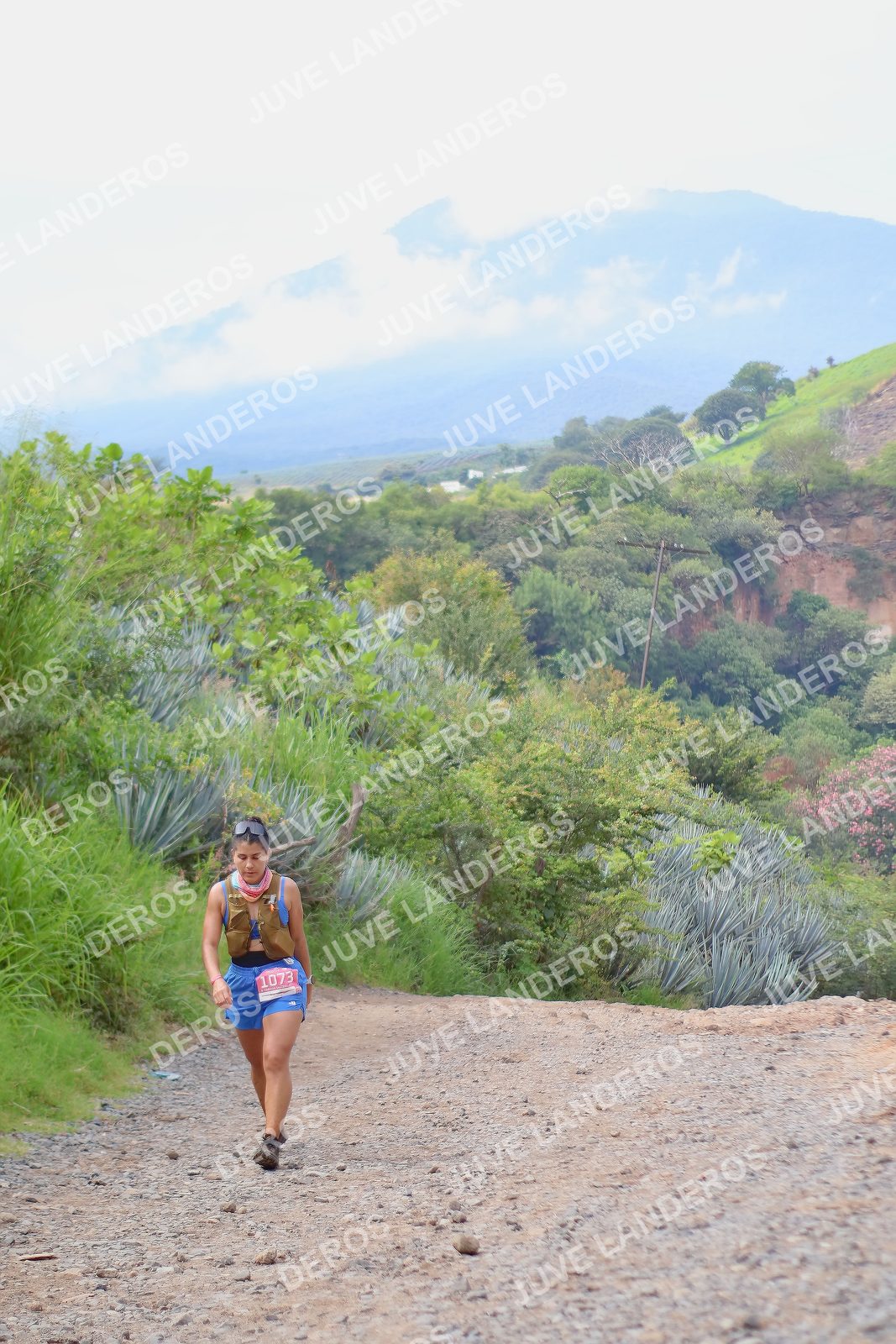 Foto del ULTRA TEQUILA 2026 en Tequila, Jalisco a las 09:56 · Ruta · dorsal 1073
