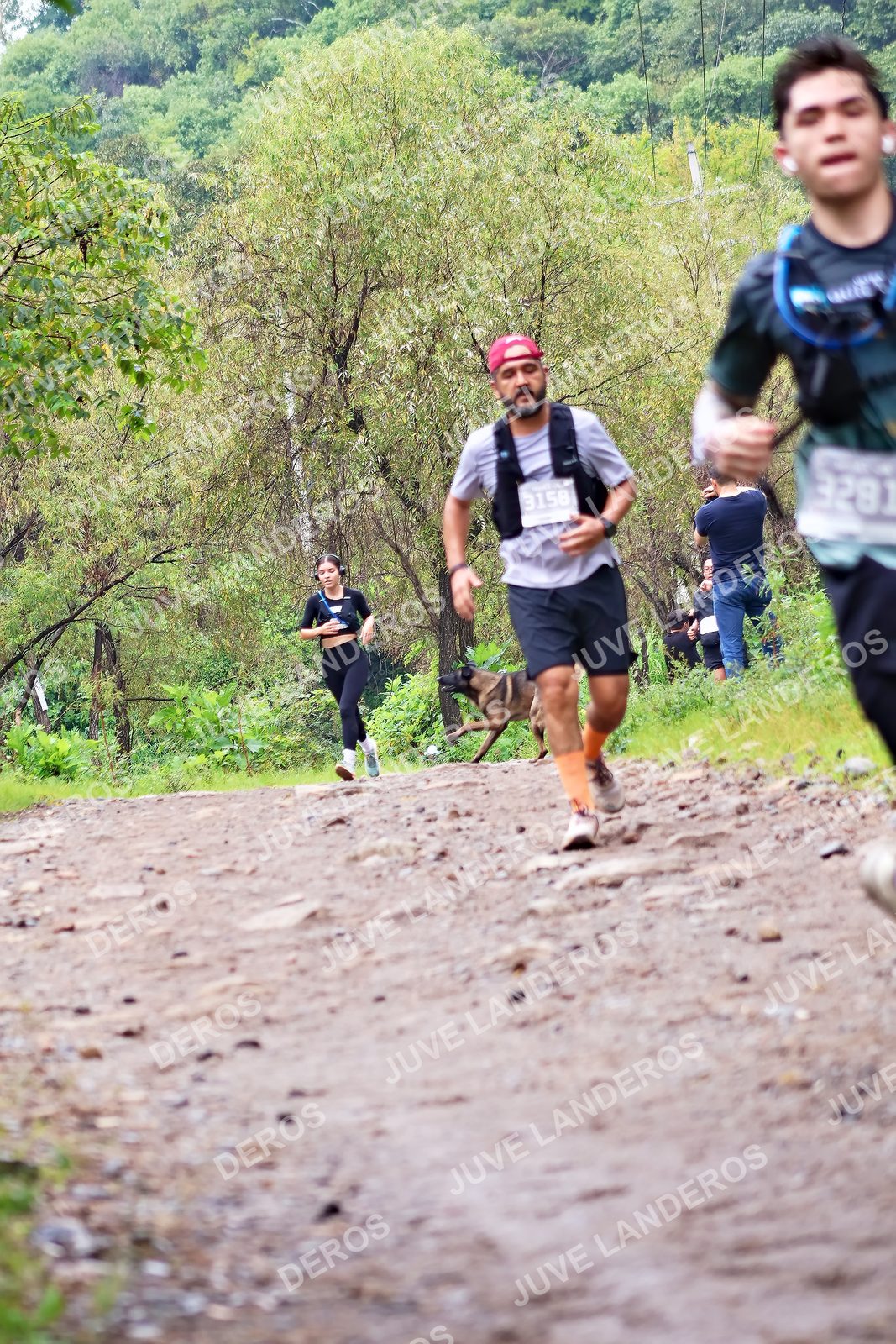 Foto del ULTRA TEQUILA 2026 en Tequila, Jalisco a las 08:29 · Ruta · dorsal 3158