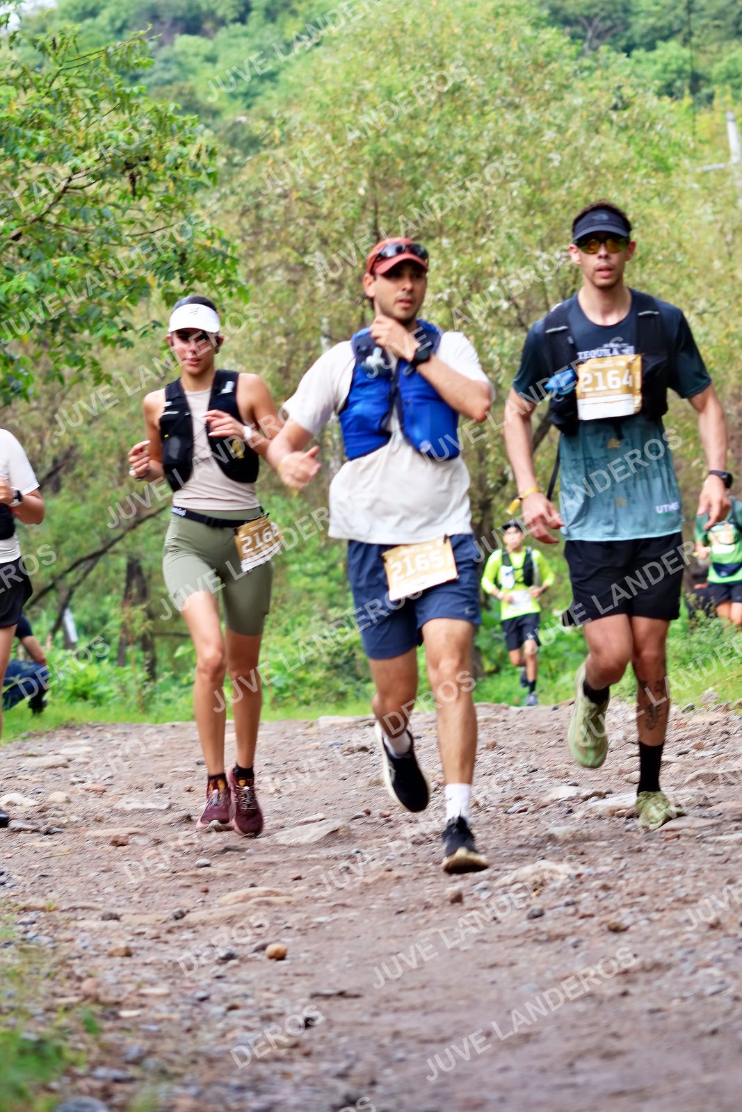 Foto del ULTRA TEQUILA 2026 en Tequila, Jalisco a las 08:47 · Ruta · dorsal 2164, 2165, 2168