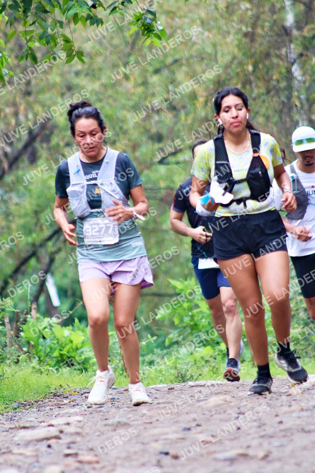 Foto del ULTRA TEQUILA 2026 en Tequila, Jalisco a las 08:28 · Ruta · dorsal 3277