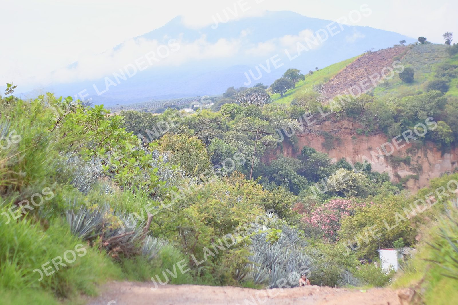 Foto del ULTRA TEQUILA 2026 a las 09:55