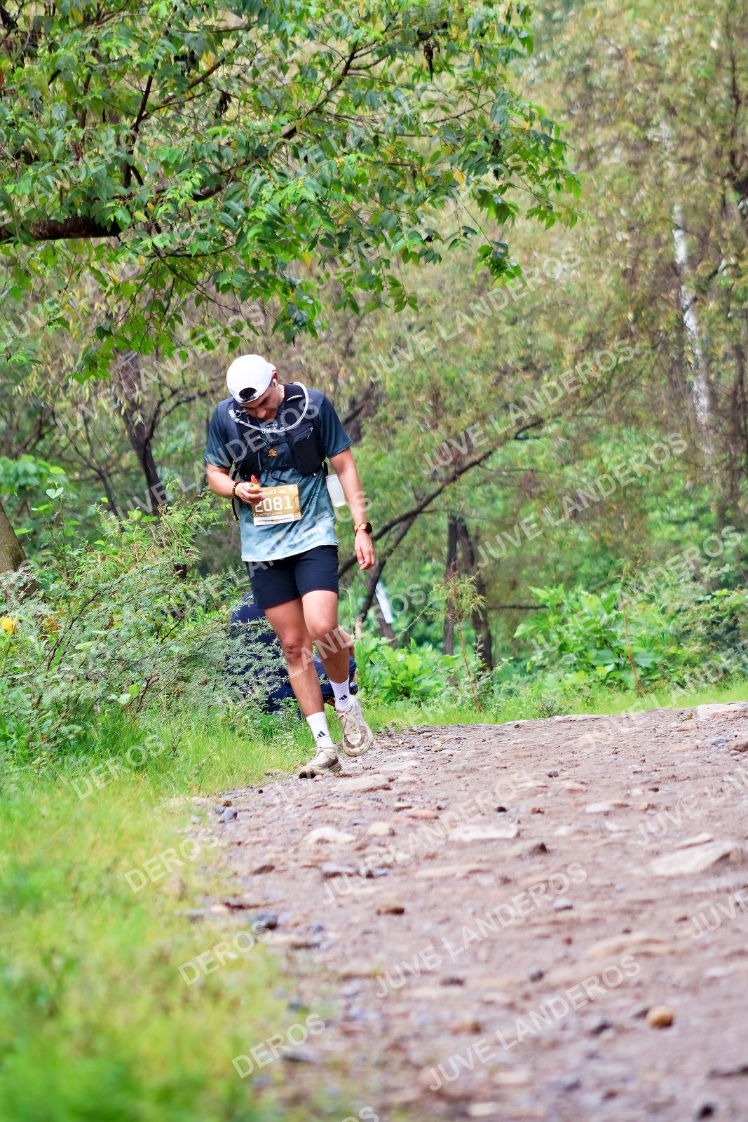 Foto del ULTRA TEQUILA 2026 en Tequila, Jalisco a las 08:50 · Ruta · dorsal 2081