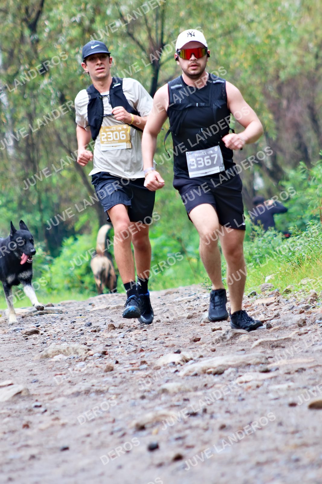 Foto del ULTRA TEQUILA 2026 en Tequila, Jalisco a las 08:23 · Ruta · dorsal 2306, 3367