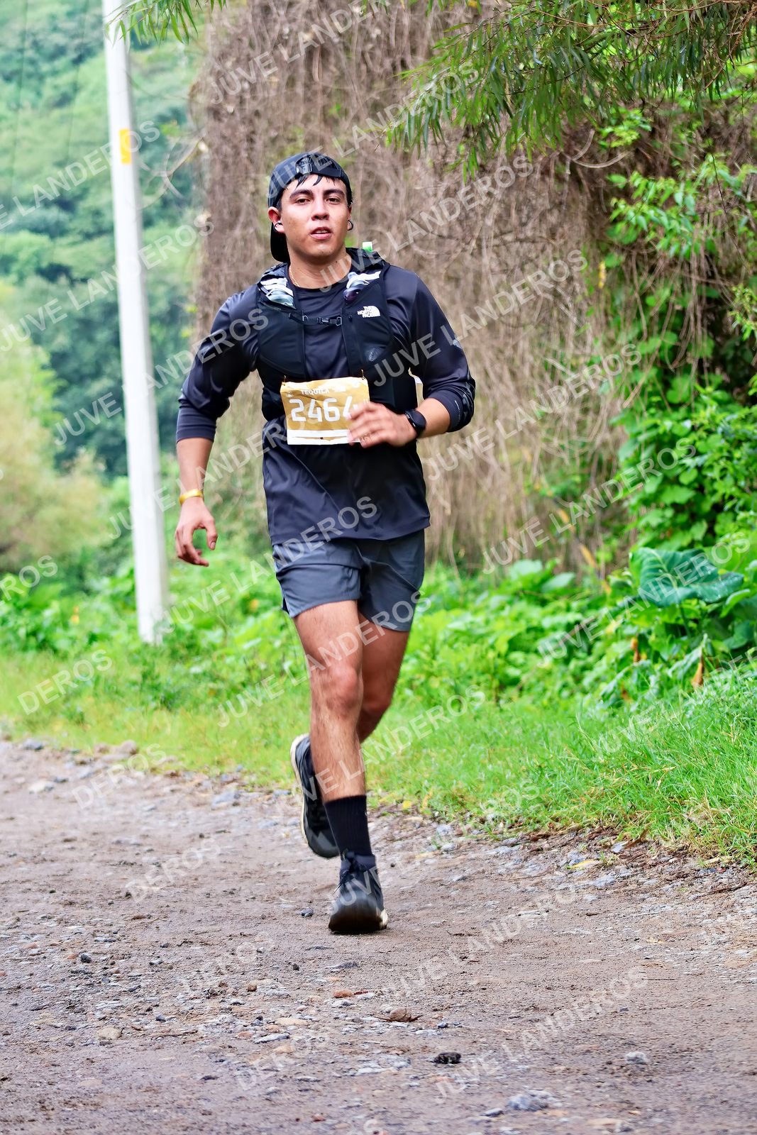Foto del ULTRA TEQUILA 2026 en Tequila, Jalisco a las 08:49 · Ruta · dorsal 2464