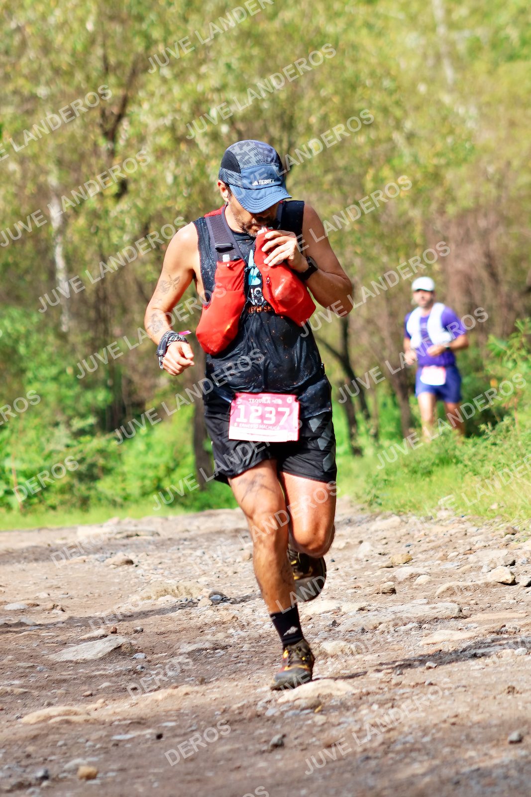 Foto del ULTRA TEQUILA 2026 en Tequila, Jalisco a las 09:17 · Ruta · dorsal 1237