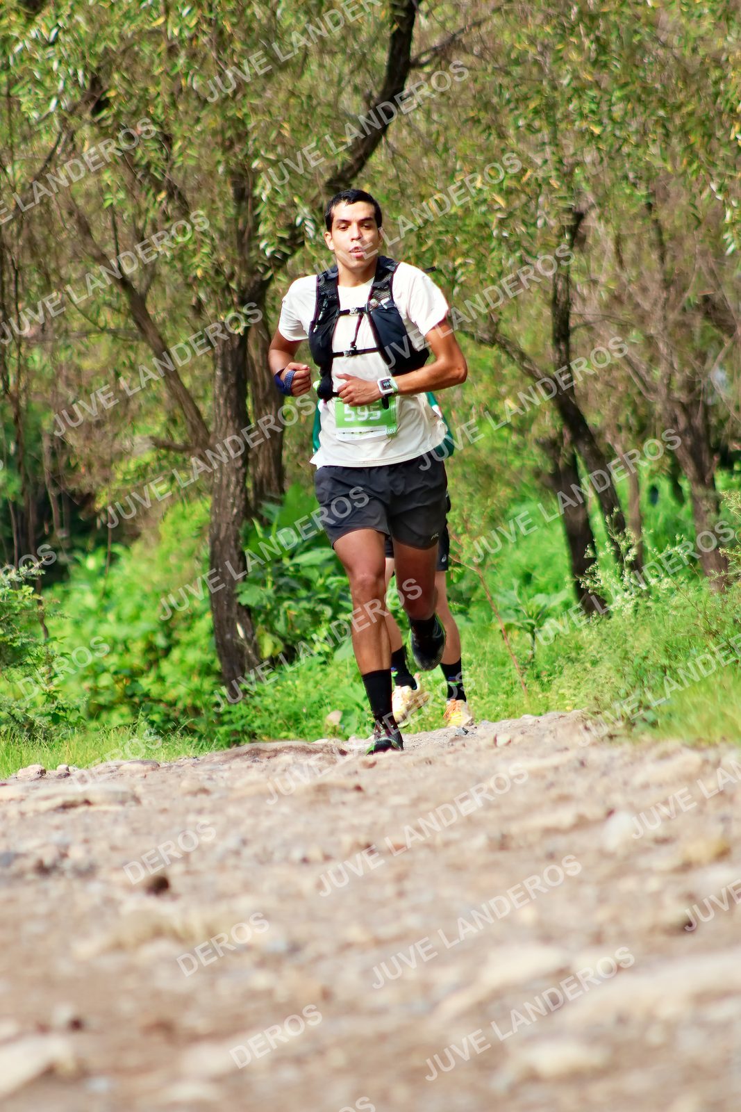 Foto del ULTRA TEQUILA 2026 en Tequila, Jalisco a las 09:31 · Ruta · dorsal 595