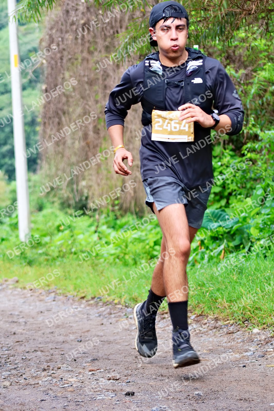 Foto del ULTRA TEQUILA 2026 en Tequila, Jalisco a las 08:49 · Ruta · dorsal 2464