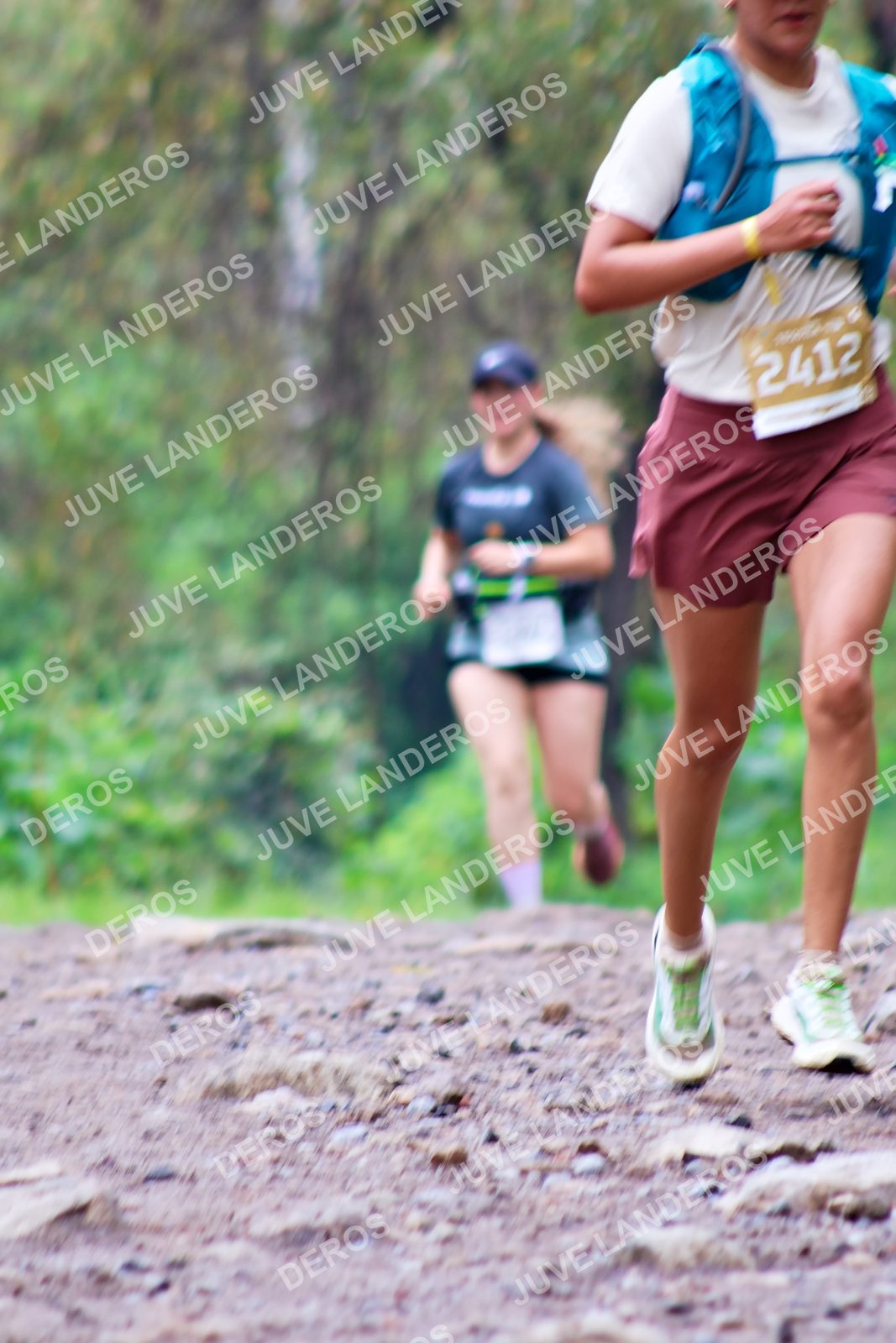 Foto del ULTRA TEQUILA 2026 en Tequila, Jalisco a las 08:32 · Ruta · dorsal 2412