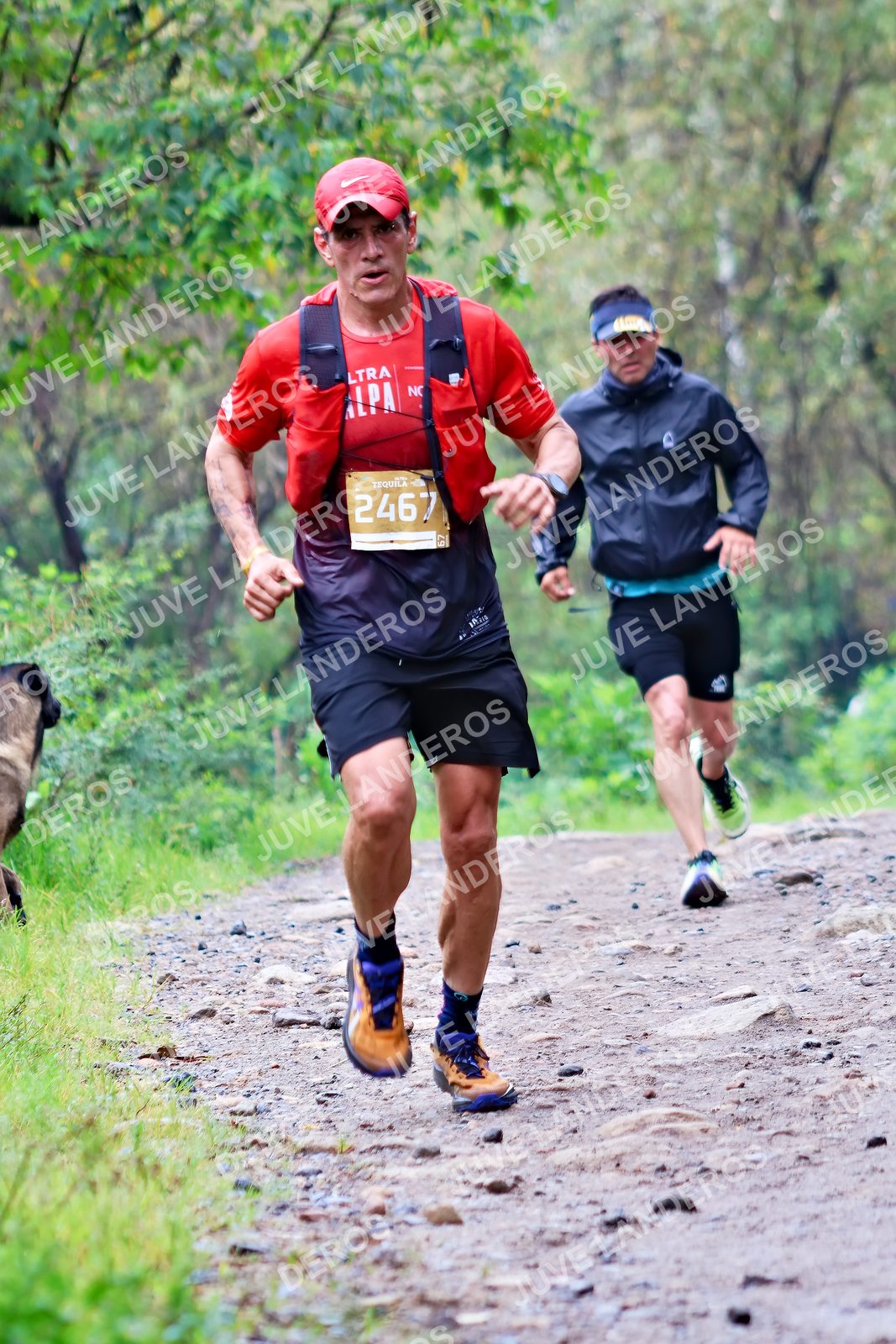 Foto del ULTRA TEQUILA 2026 en Tequila, Jalisco a las 08:26 · Ruta · dorsal 2467