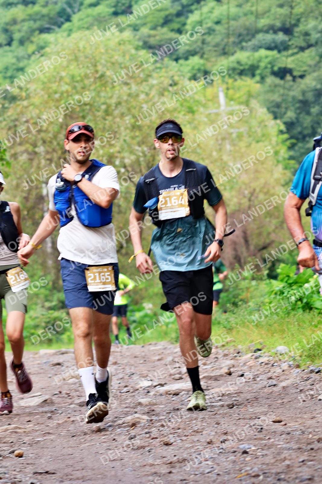Foto del ULTRA TEQUILA 2026 en Tequila, Jalisco a las 08:47 · Ruta · dorsal 2165, 2164, 2169