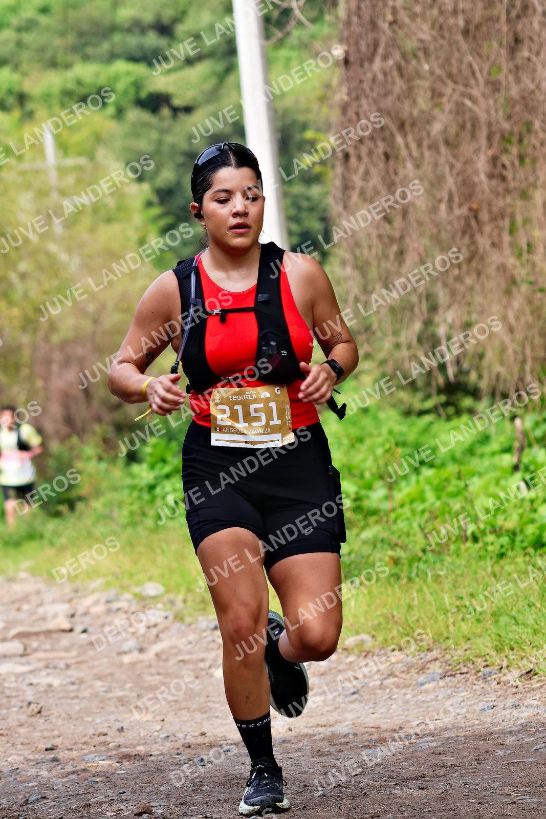 Foto del ULTRA TEQUILA 2026 en Tequila, Jalisco a las 09:28 · Ruta · dorsal 2151