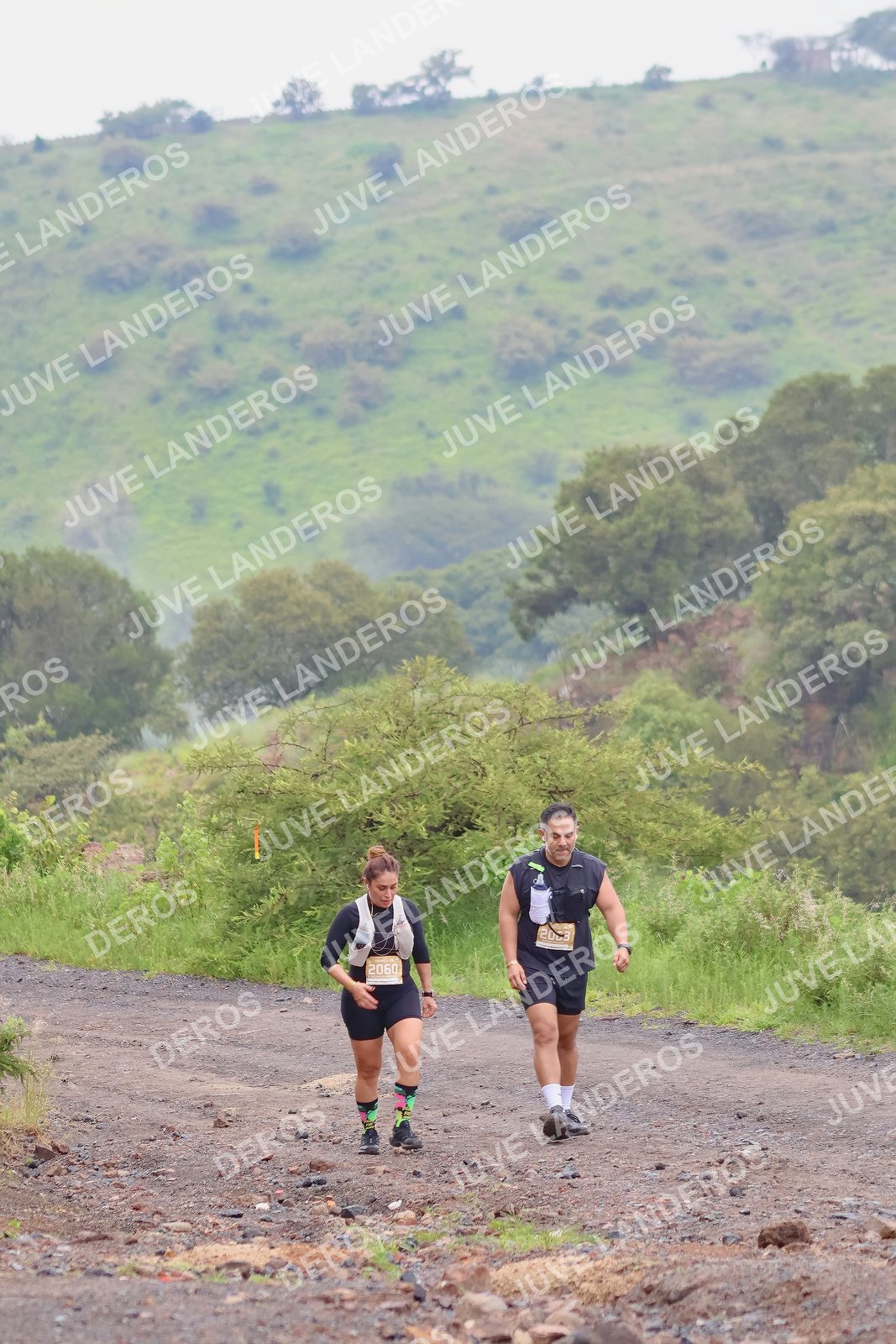 Foto del ULTRA TEQUILA 2026 en Tequila, Jalisco a las 07:38 · Ruta · dorsal 2060