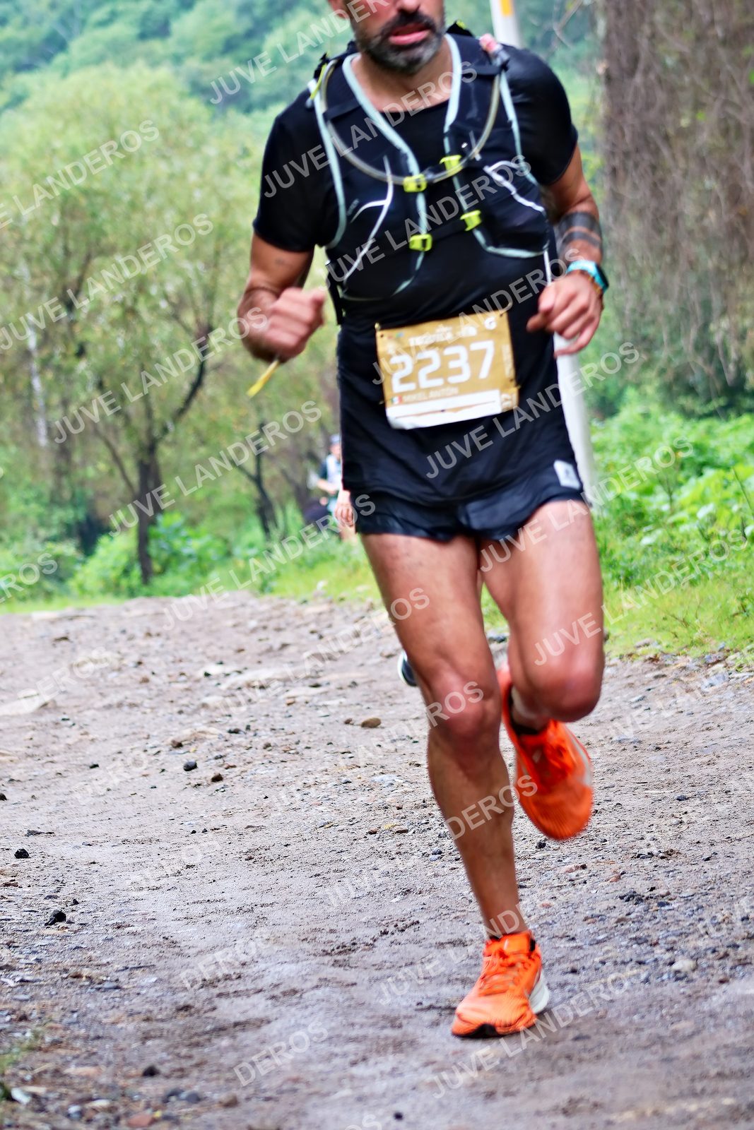 Foto del ULTRA TEQUILA 2026 en Tequila, Jalisco a las 08:23 · Ruta · dorsal 2237