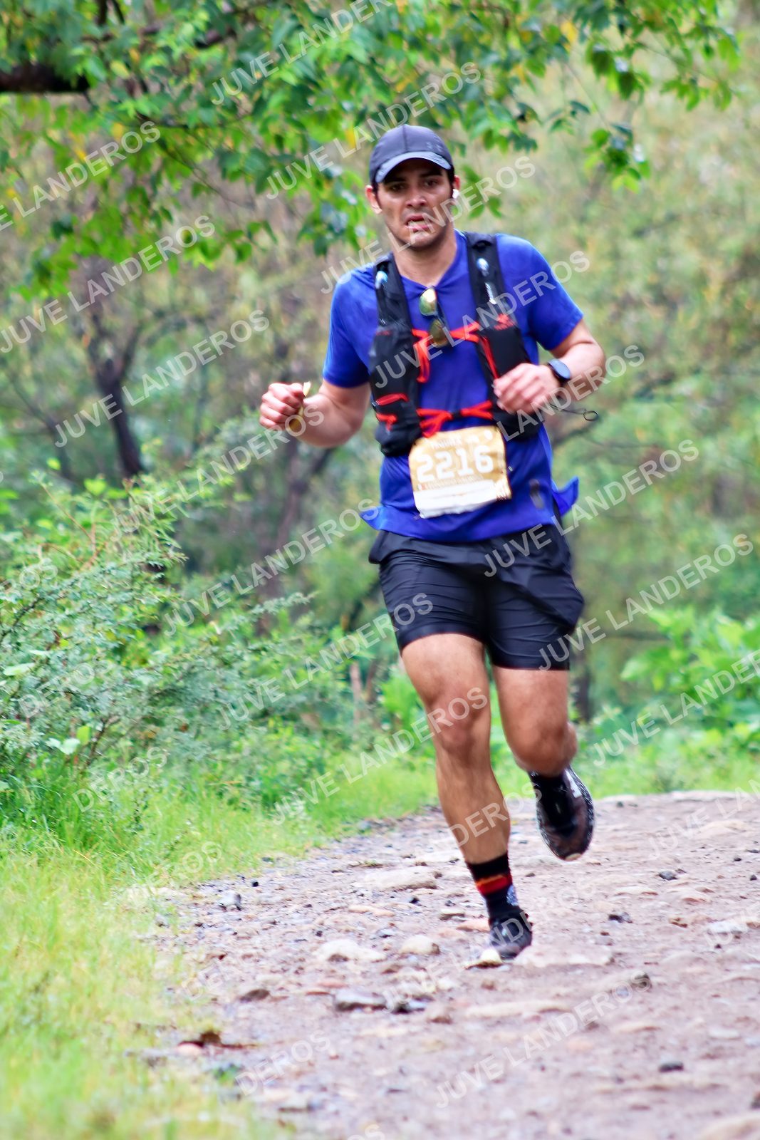 Foto del ULTRA TEQUILA 2026 en Tequila, Jalisco a las 08:36 · Ruta · dorsal 2216
