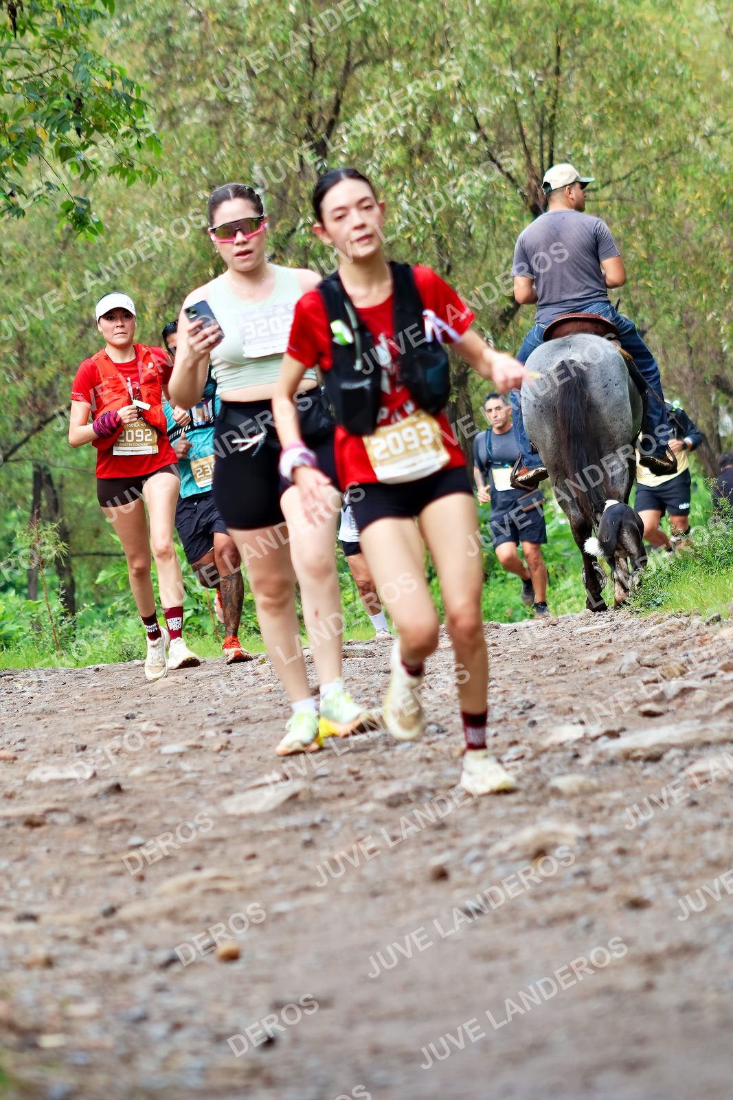 Foto del ULTRA TEQUILA 2026 en Tequila, Jalisco a las 08:48 · Ruta · dorsal 2093, 92, 23, 3202