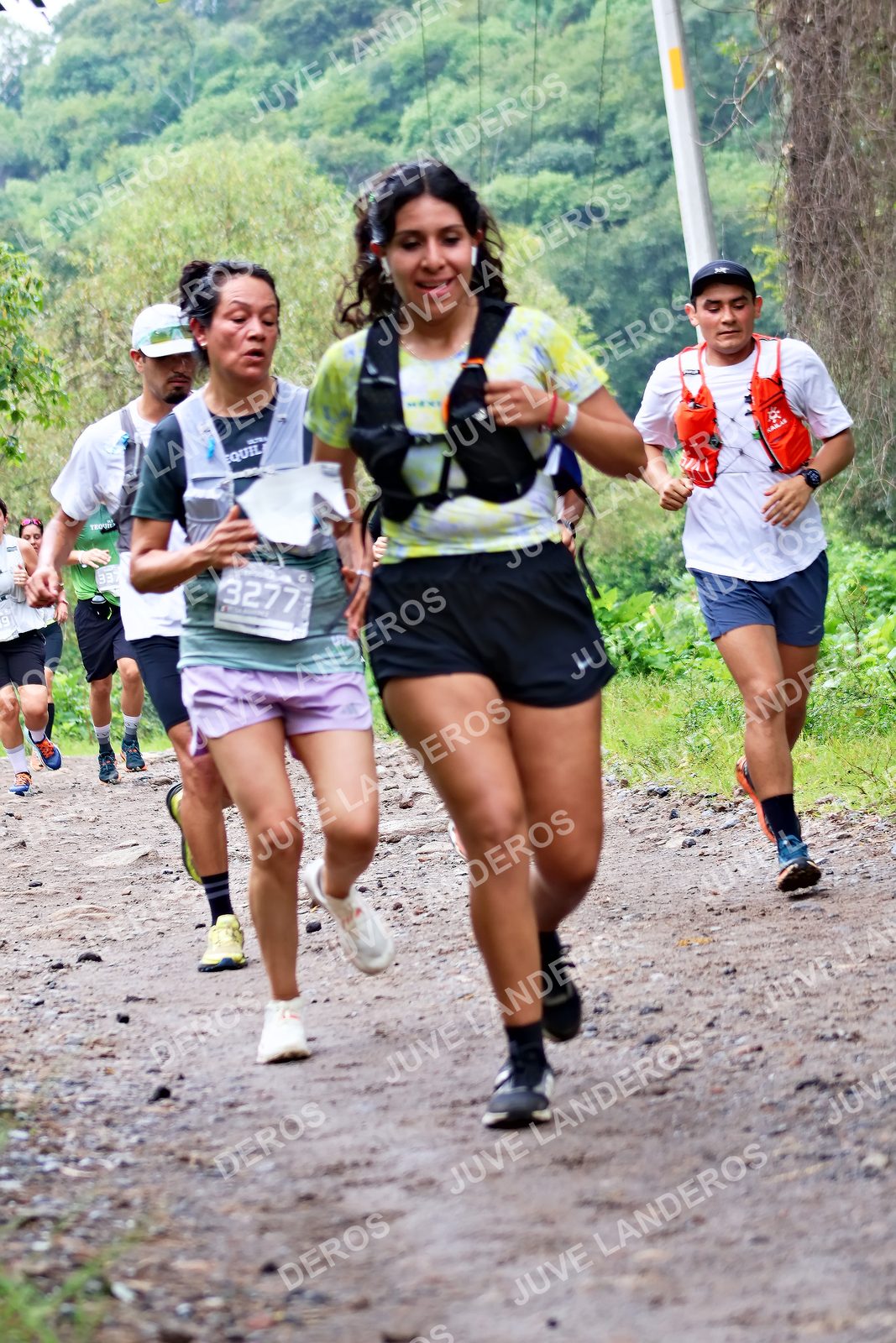Foto del ULTRA TEQUILA 2026 en Tequila, Jalisco a las 08:28 · Ruta · dorsal 3277, 337