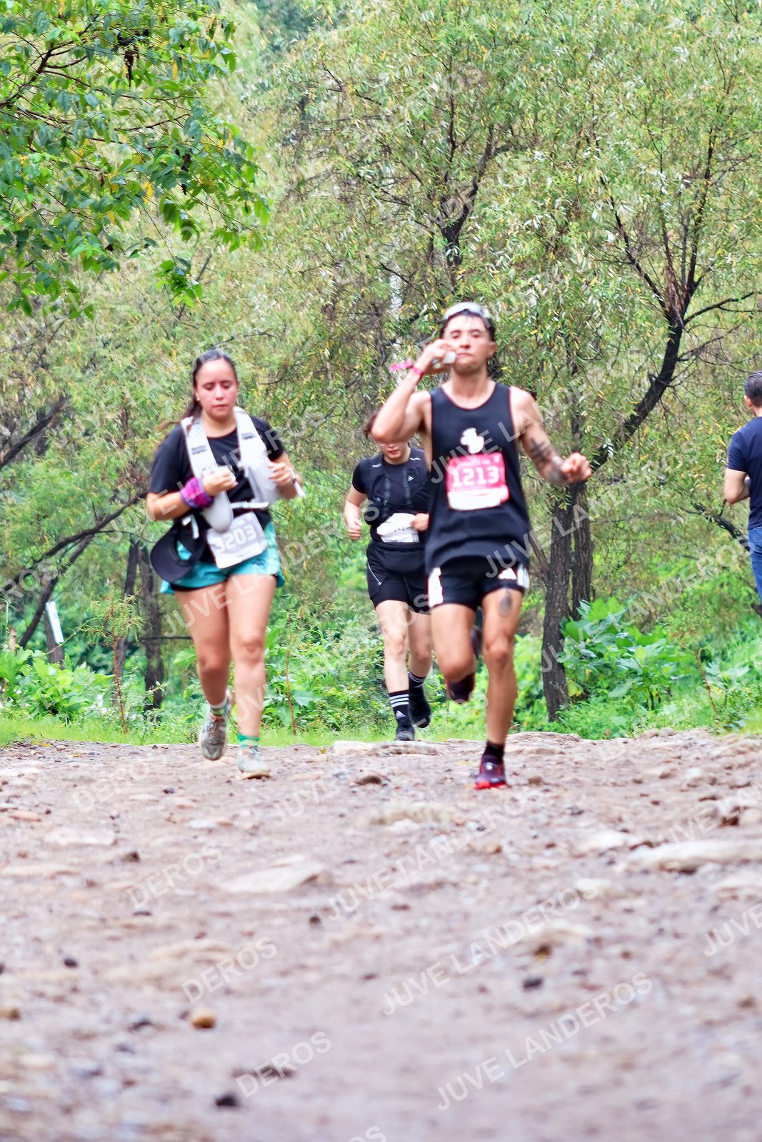 Foto del ULTRA TEQUILA 2026 en Tequila, Jalisco a las 08:38 · Ruta · dorsal 1213, 3203