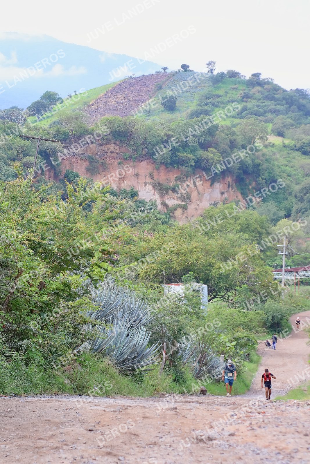 Foto del ULTRA TEQUILA 2026 en Tequila, Jalisco a las 09:53 · Ruta