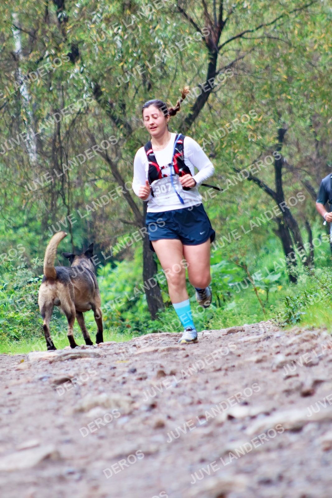 Foto del ULTRA TEQUILA 2026 en Tequila, Jalisco a las 08:26 · Ruta · dorsal 307