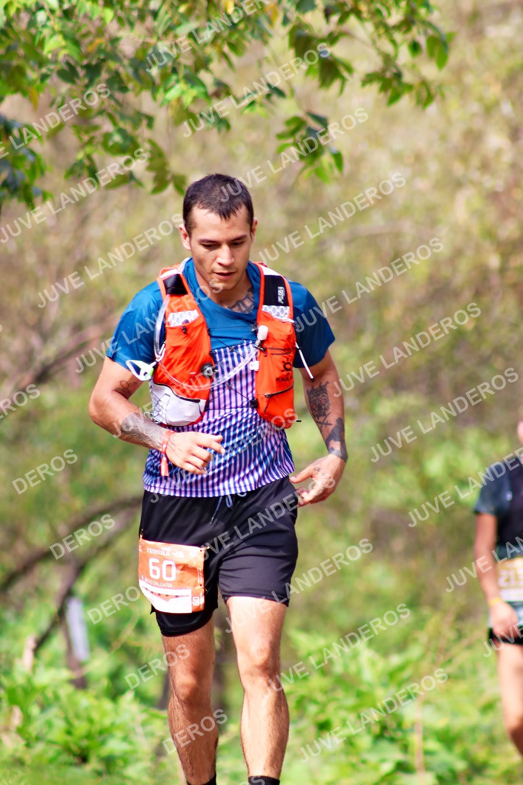 Foto del ULTRA TEQUILA 2026 en Tequila, Jalisco a las 09:19 · Ruta · dorsal 60, 213