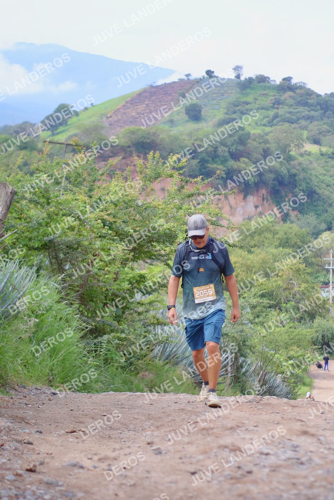 Foto del ULTRA TEQUILA 2026 en Tequila, Jalisco a las 09:54 · Ruta · dorsal 2056