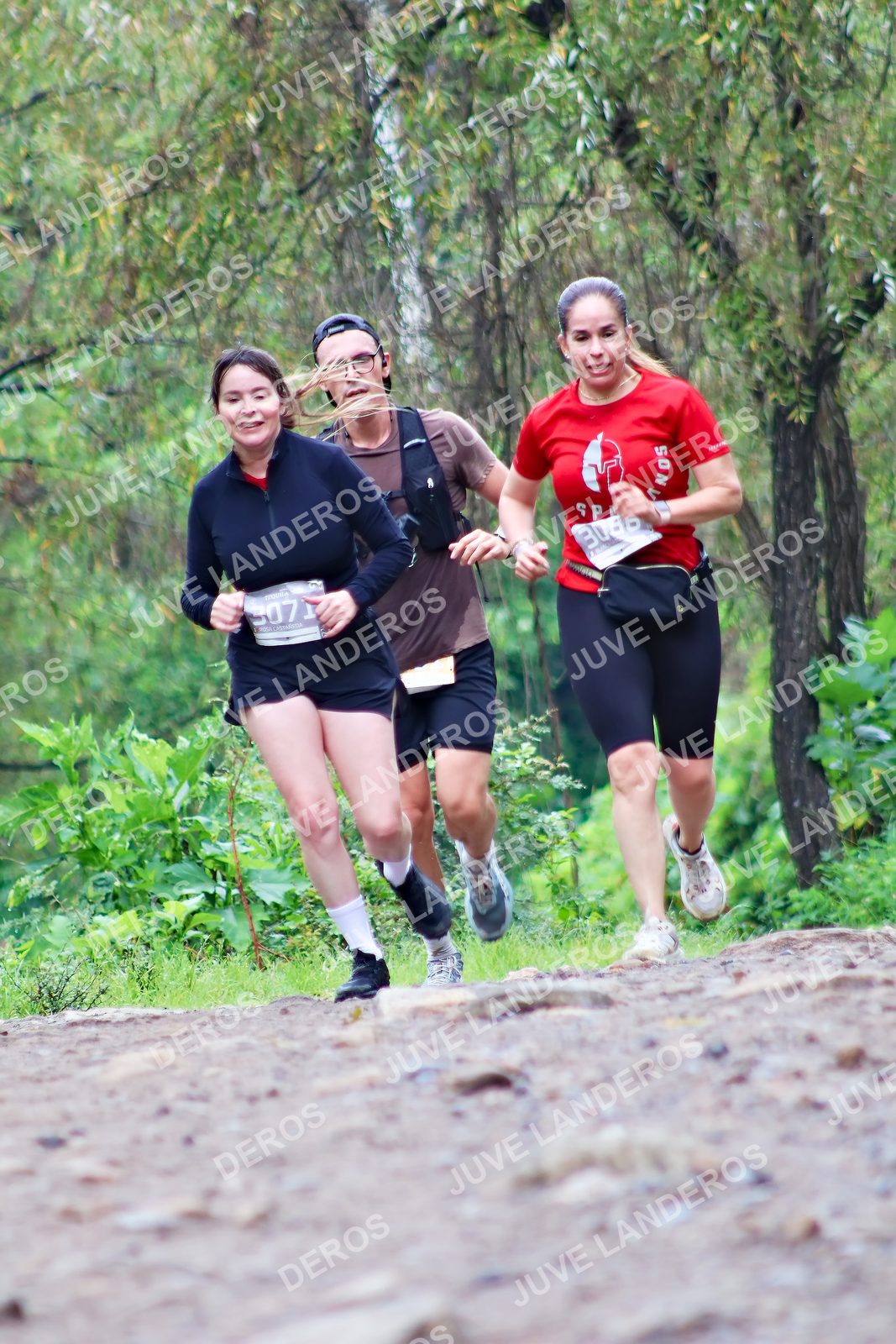 Foto del ULTRA TEQUILA 2026 en Tequila, Jalisco a las 08:35 · Ruta · dorsal 3071