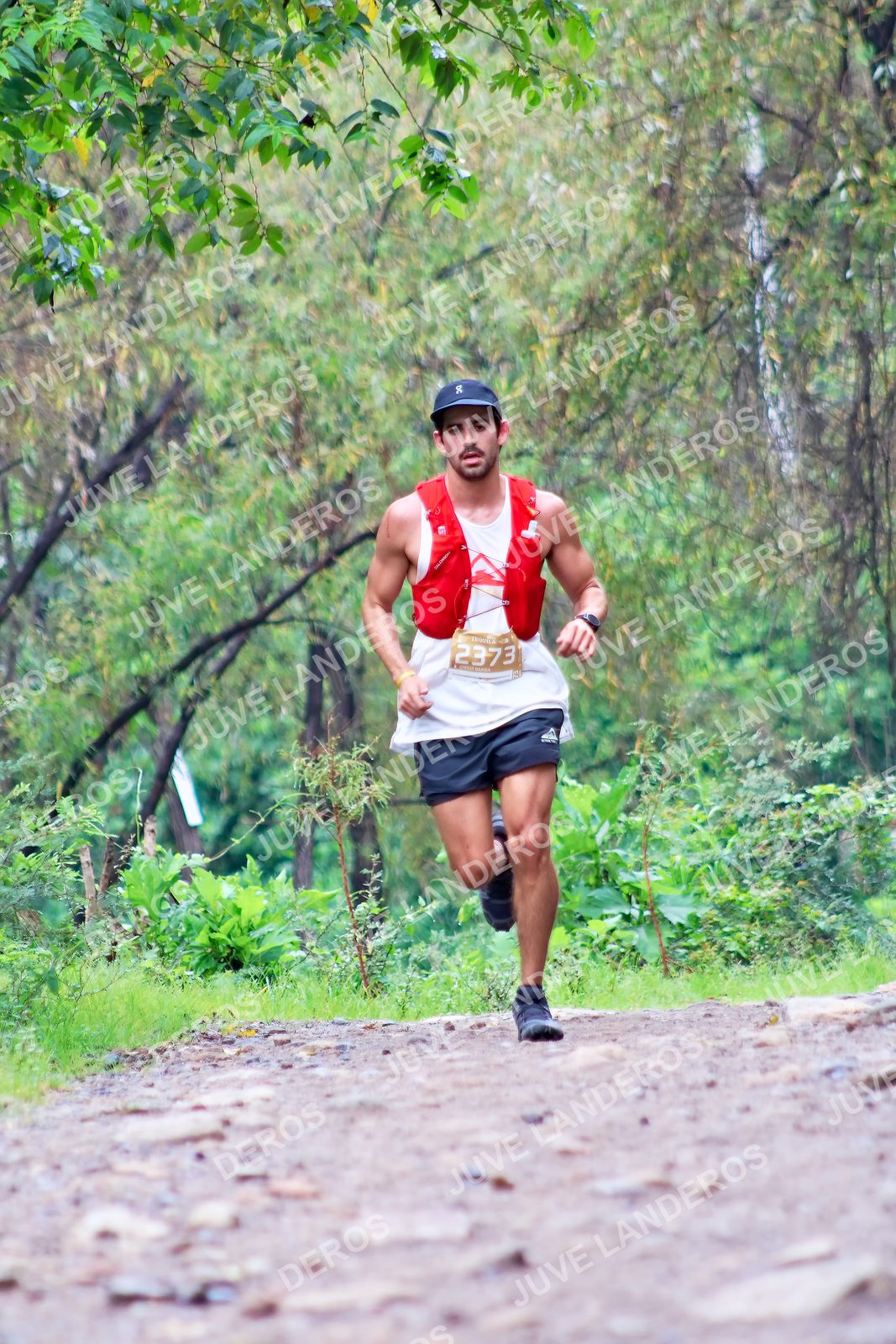Foto del ULTRA TEQUILA 2026 en Tequila, Jalisco a las 08:30 · Ruta · dorsal 2373