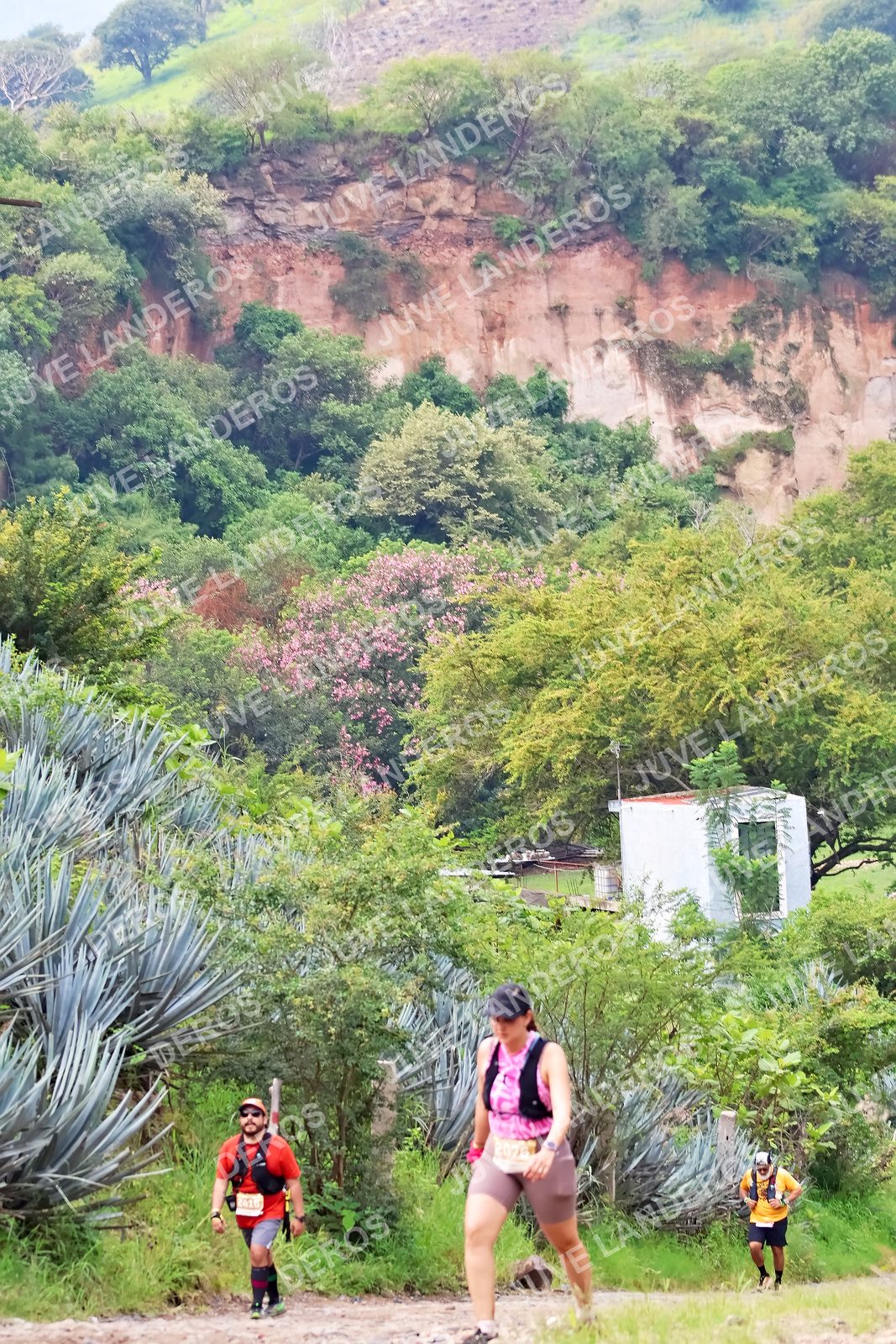 Foto del ULTRA TEQUILA 2026 a las 09:51