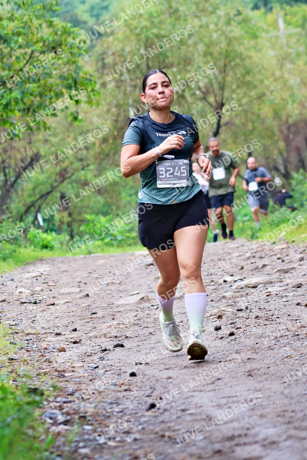 Foto del ULTRA TEQUILA 2026 en Tequila, Jalisco a las 08:25 · Ruta · dorsal 3245