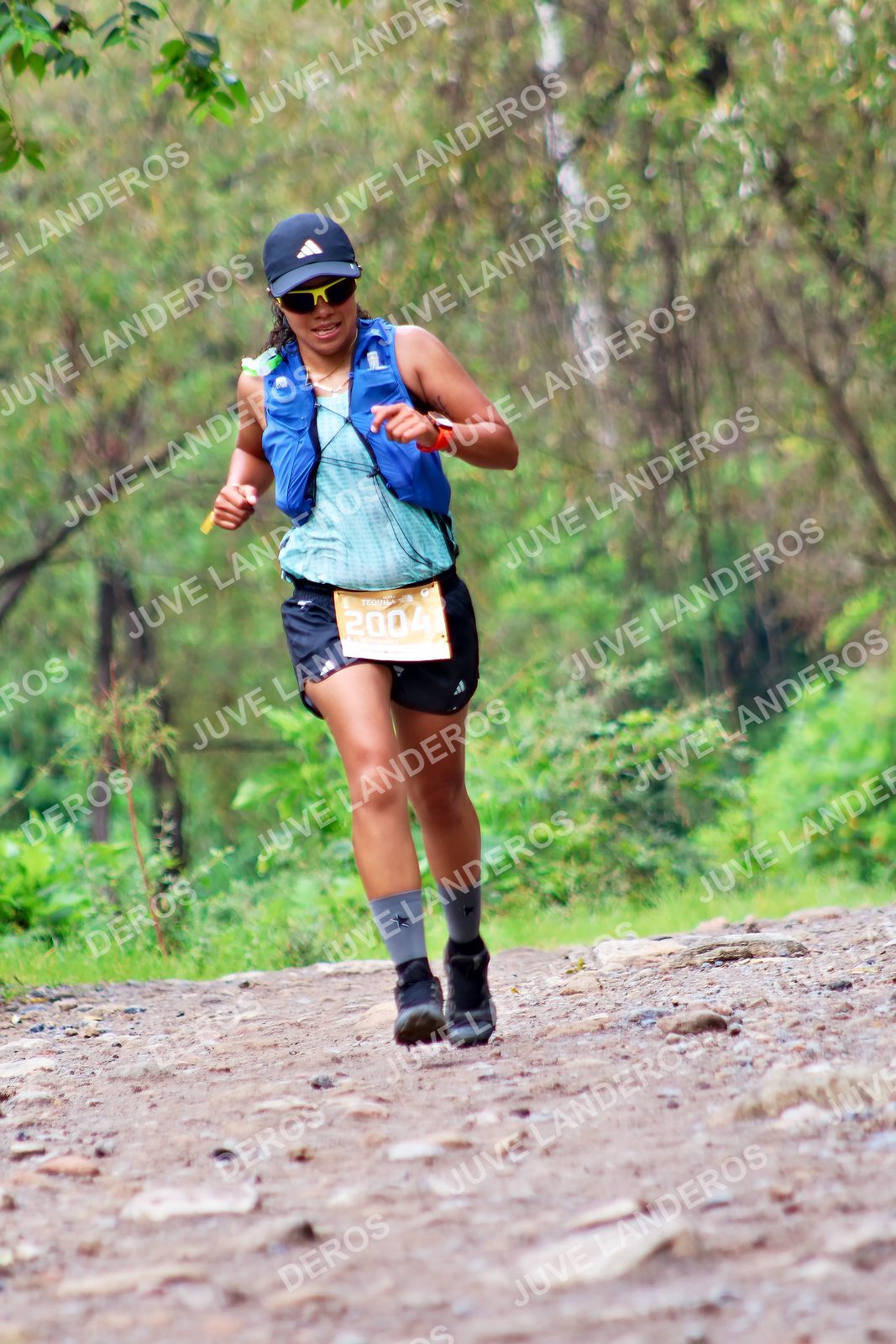 Foto del ULTRA TEQUILA 2026 en Tequila, Jalisco a las 08:48 · Ruta · dorsal 2004