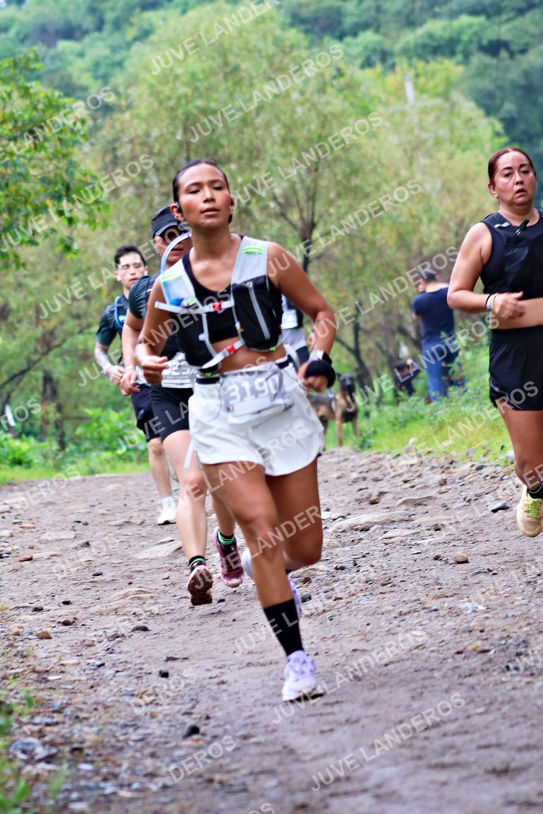 Foto del ULTRA TEQUILA 2026 en Tequila, Jalisco a las 08:29 · Ruta