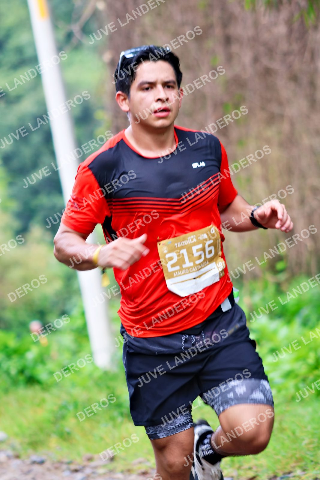Foto del ULTRA TEQUILA 2026 en Tequila, Jalisco a las 08:43 · Ruta · dorsal 2156
