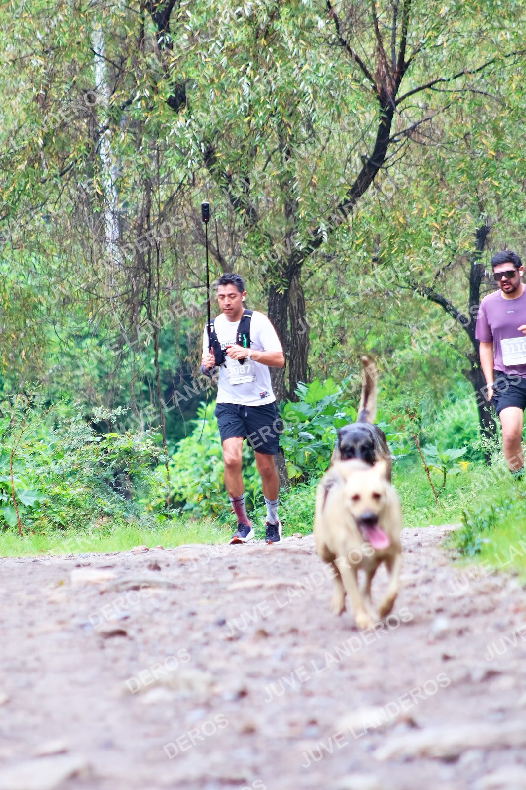 Foto del ULTRA TEQUILA 2026 en Tequila, Jalisco a las 08:18 · Ruta · dorsal 3087, 3110