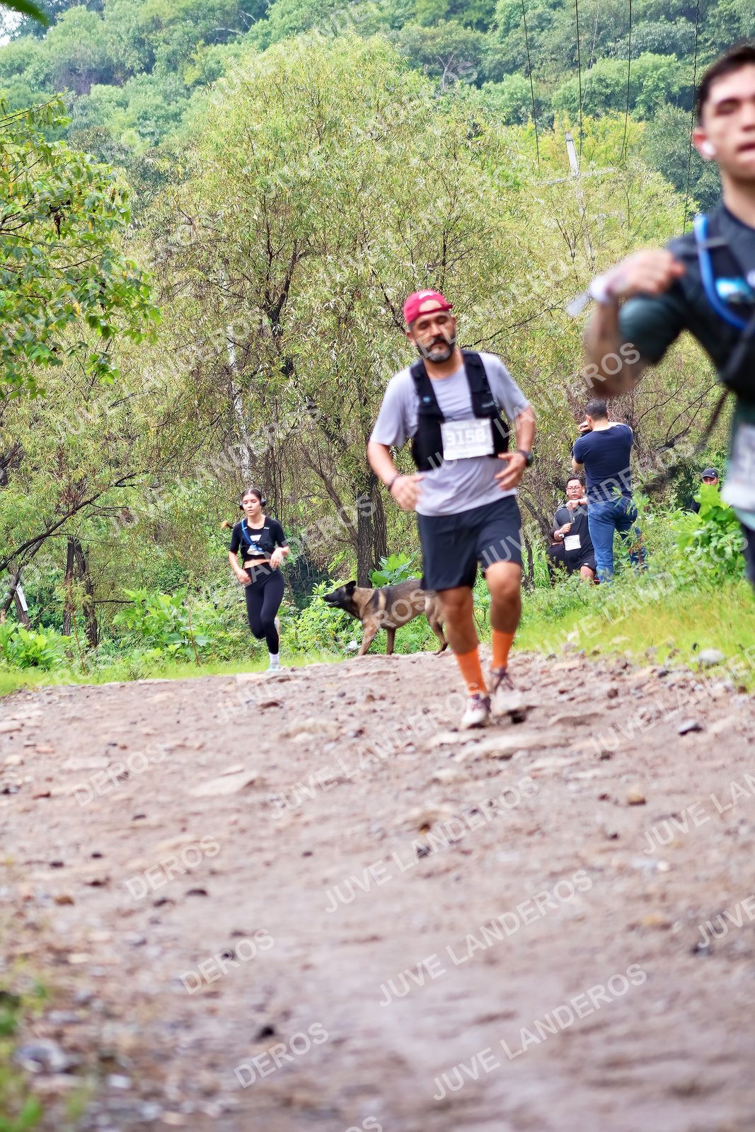 Foto del ULTRA TEQUILA 2026 en Tequila, Jalisco a las 08:29 · Ruta · dorsal 3158
