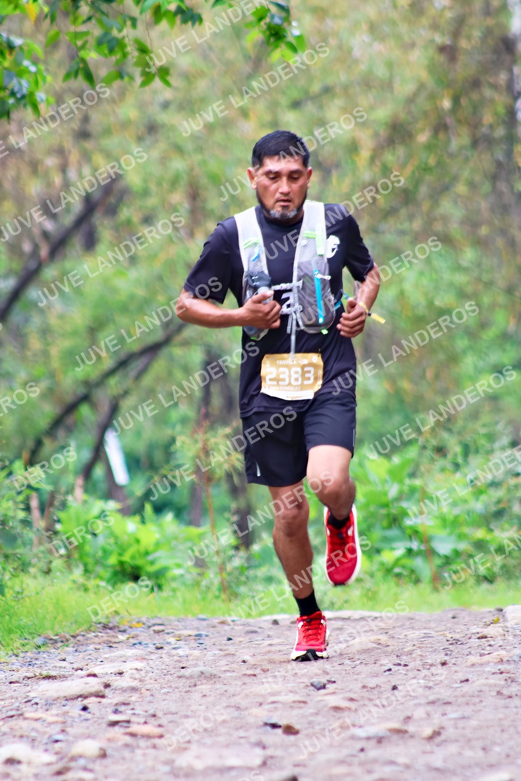Foto del ULTRA TEQUILA 2026 en Tequila, Jalisco a las 08:31 · Ruta · dorsal 2383