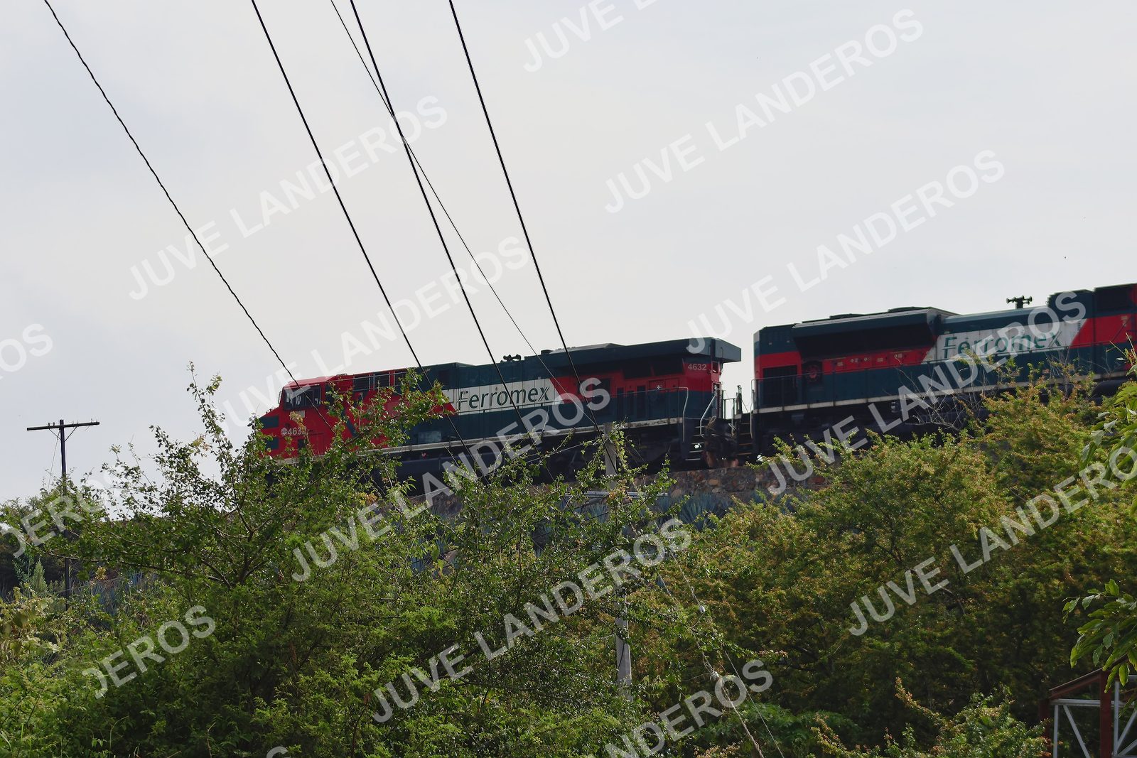 Foto del ULTRA TEQUILA 2026 a las 09:48