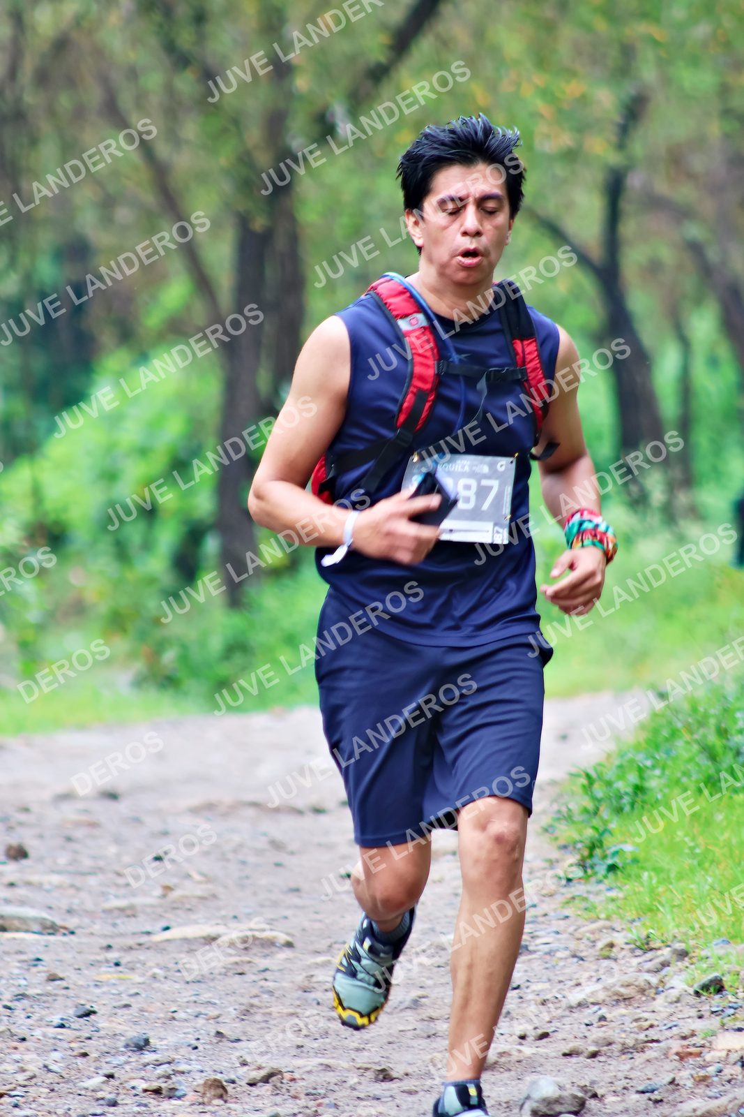 Foto del ULTRA TEQUILA 2026 en Tequila, Jalisco a las 08:17 · Ruta · dorsal 87