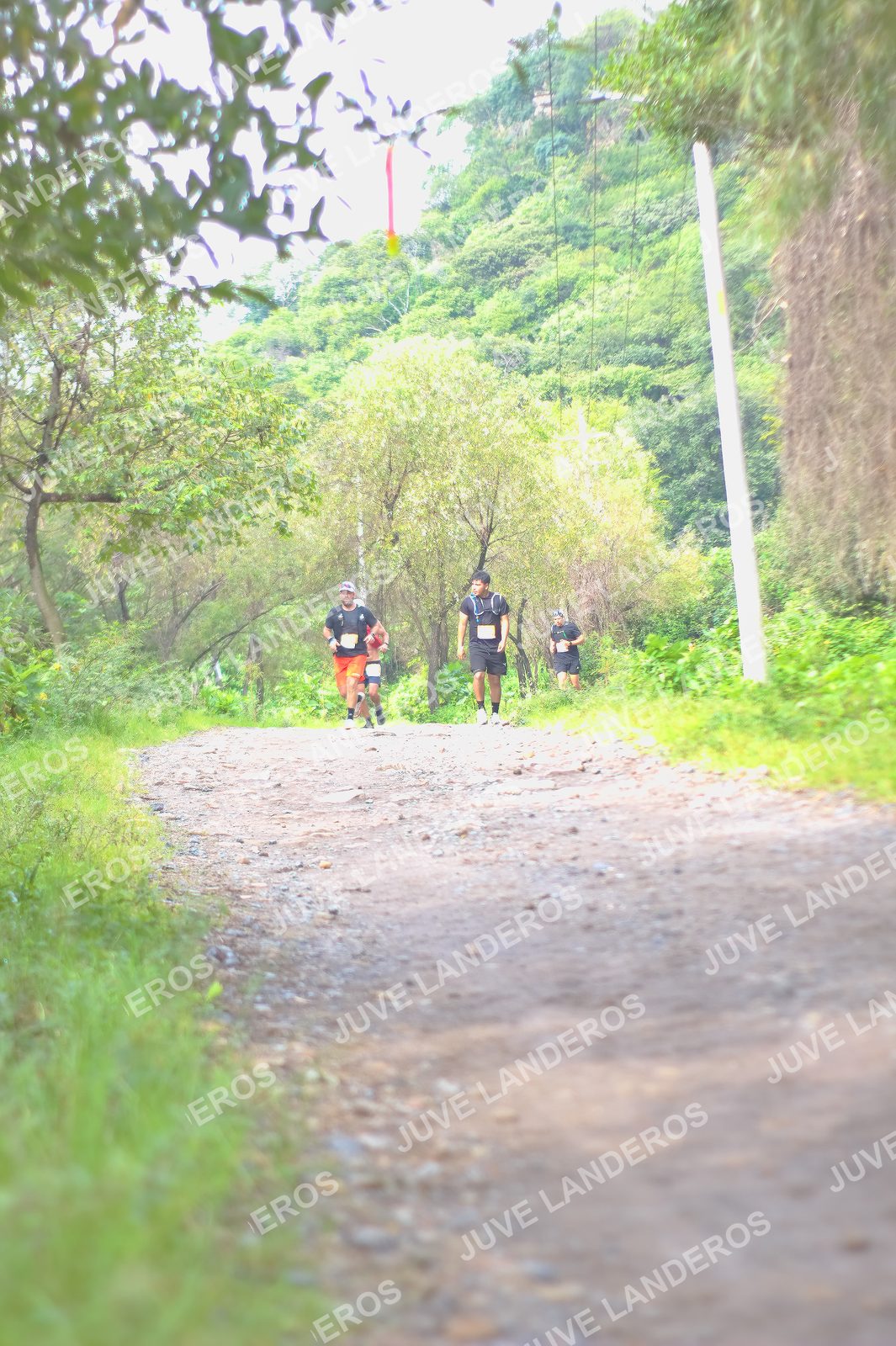 Foto del ULTRA TEQUILA 2026 en Tequila, Jalisco a las 09:18 · Ruta