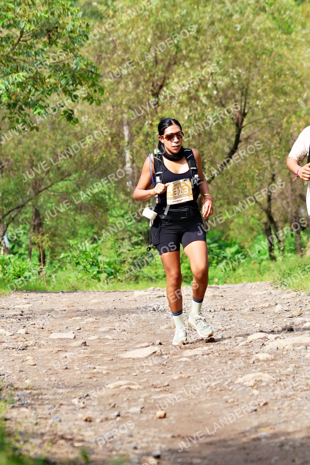 Foto del ULTRA TEQUILA 2026 en Tequila, Jalisco a las 09:31 · Ruta · dorsal 2313