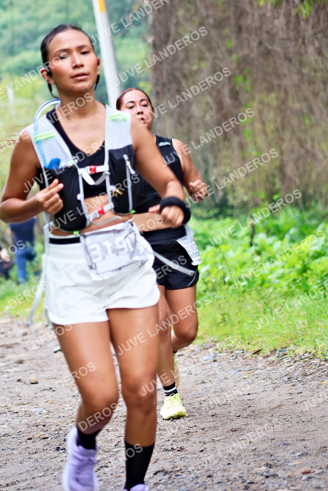 Foto del ULTRA TEQUILA 2026 en Tequila, Jalisco a las 08:29 · Ruta · dorsal 3190