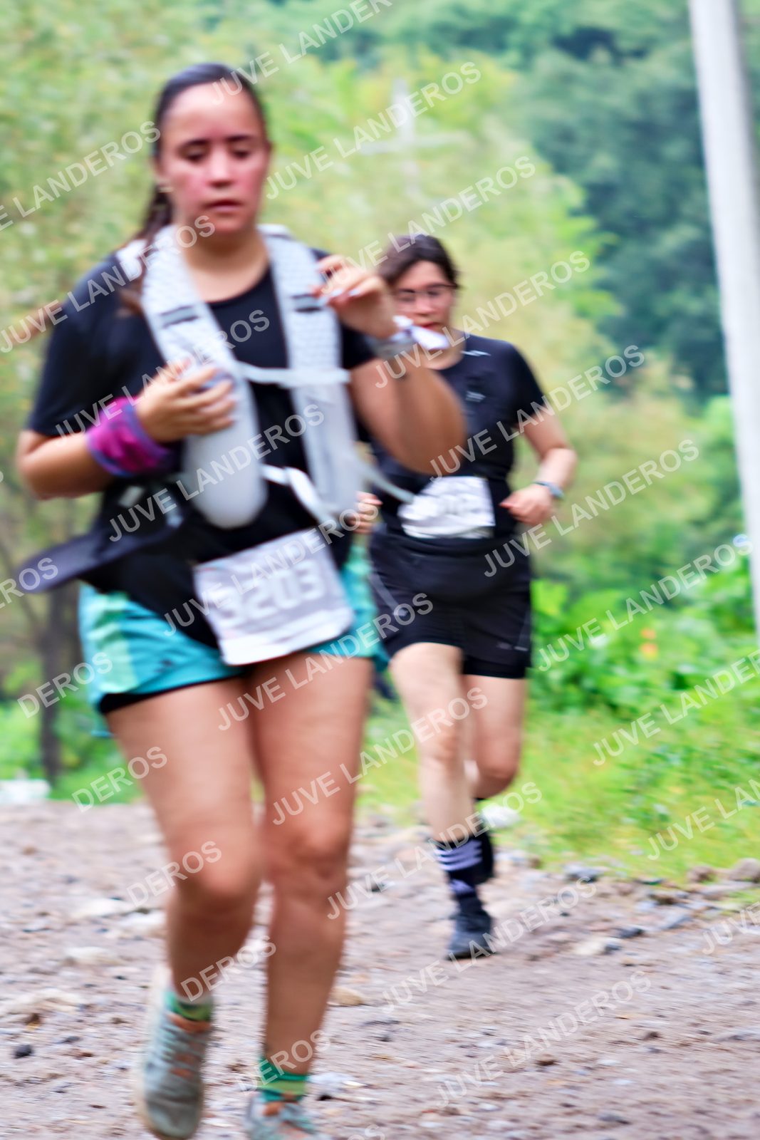 Foto del ULTRA TEQUILA 2026 en Tequila, Jalisco a las 08:38 · Ruta · dorsal 3203