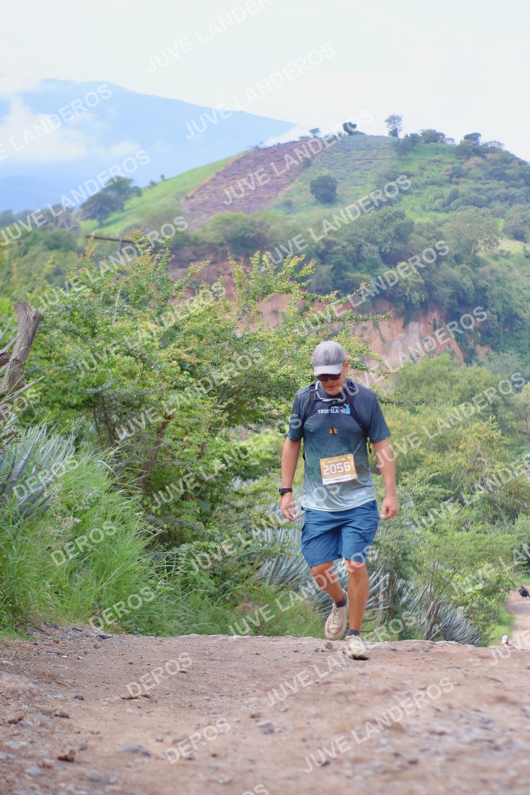Foto del ULTRA TEQUILA 2026 en Tequila, Jalisco a las 09:54 · Ruta · dorsal 2056