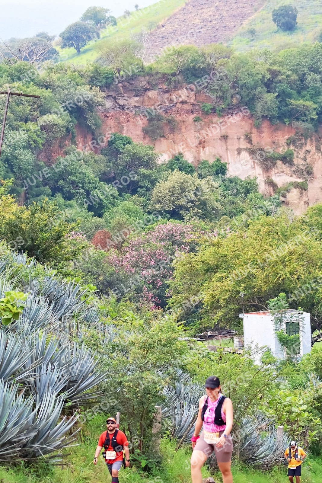 Foto del ULTRA TEQUILA 2026 en Tequila, Jalisco a las 09:51 · Ruta