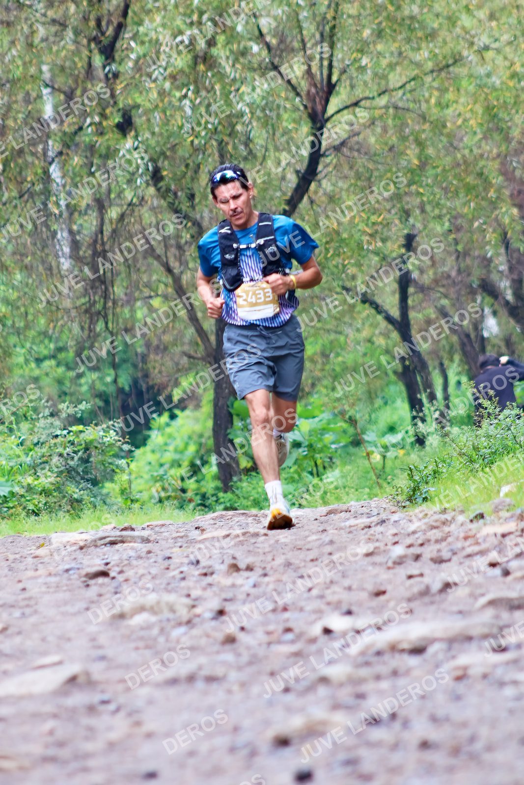 Foto del ULTRA TEQUILA 2026 en Tequila, Jalisco a las 08:24 · Ruta · dorsal 2433