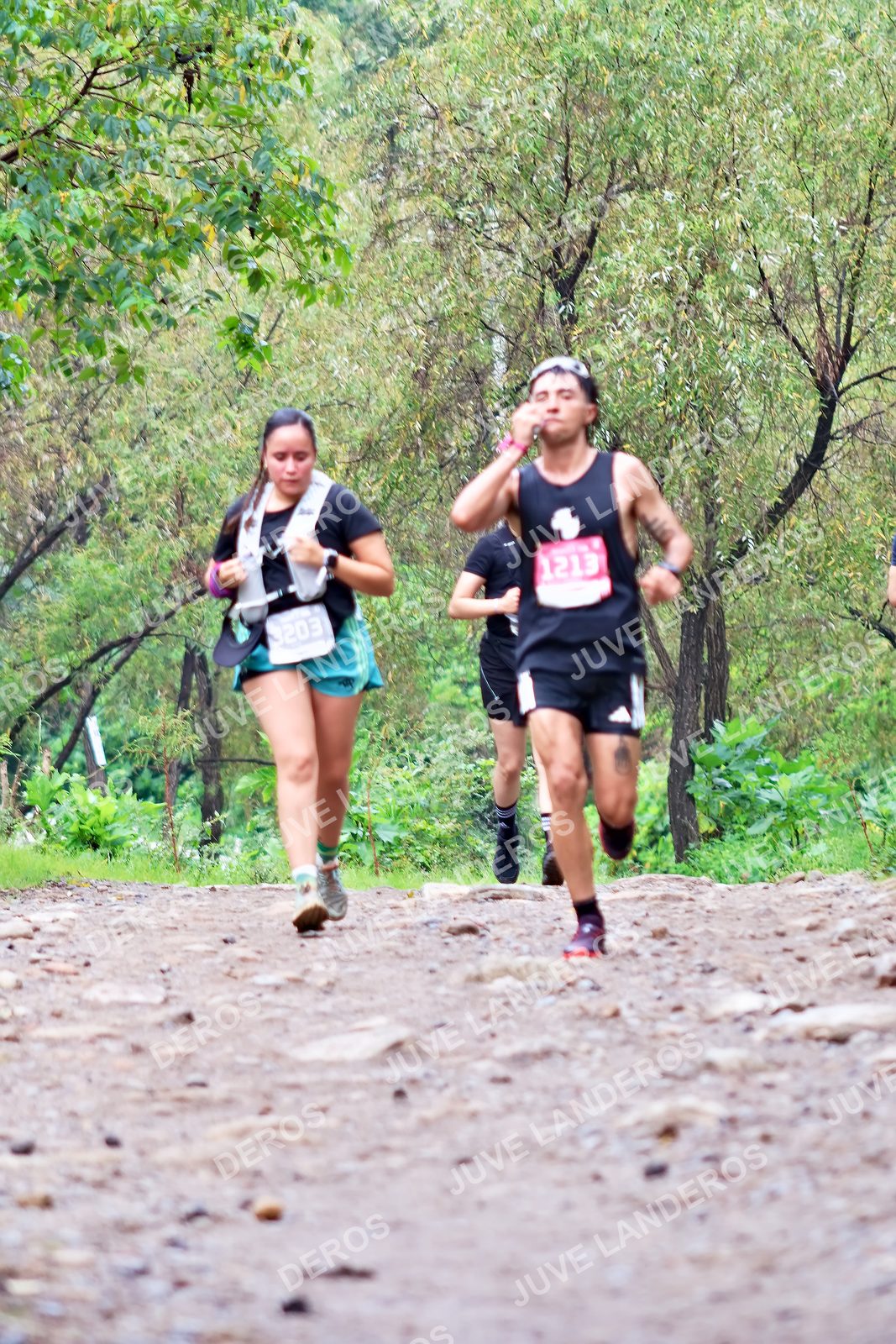 Foto del ULTRA TEQUILA 2026 en Tequila, Jalisco a las 08:38 · Ruta · dorsal 1213, 3203