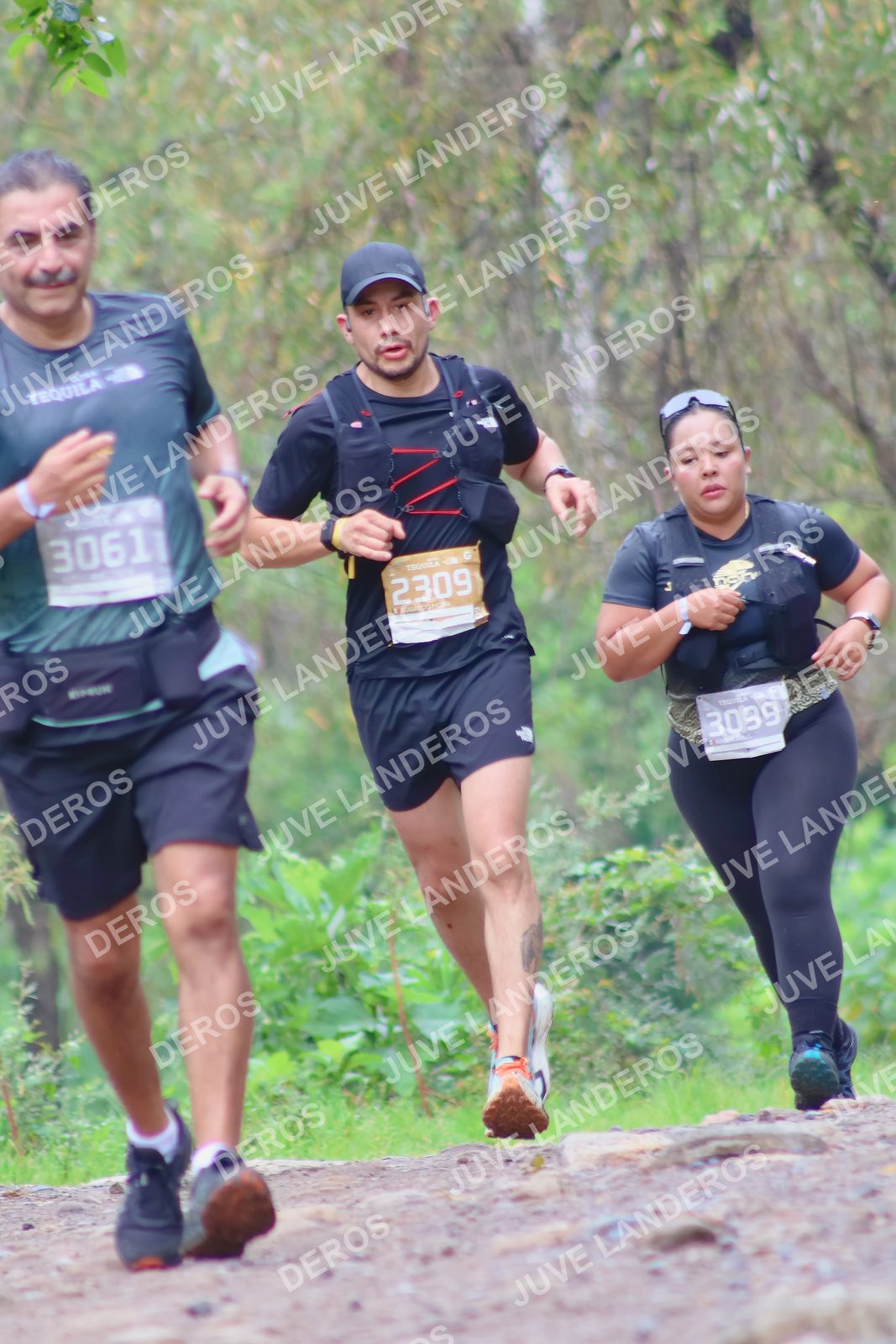 Foto del ULTRA TEQUILA 2026 en Tequila, Jalisco a las 08:37 · Ruta · dorsal 2309, 3099, 3061