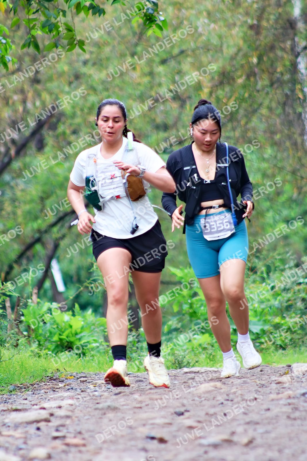 Foto del ULTRA TEQUILA 2026 en Tequila, Jalisco a las 08:31 · Ruta · dorsal 3356